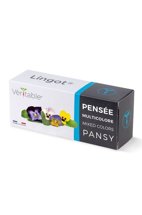 Veritable - Вставка з насінням Різнокольорові садові фіалки колір барвистий
