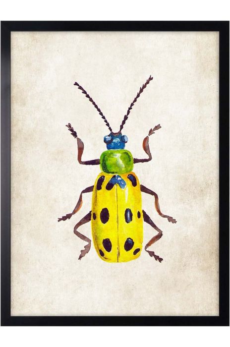 Настінна декорація на папері в рамці 30x40 cm колір барвистий (3252205)