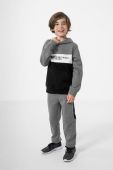 Дитяча кофта 4F колір сірий з принтом (2699772)