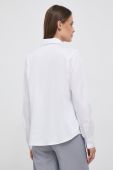 Бавовняна сорочка Seidensticker жіноча колір білий regular класичний комір (3532391)