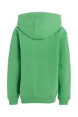 Дитяча кофта Tommy Hilfiger колір зелений з капюшоном з аплікацією (3312788)