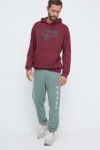 Кофта Reebok чоловіча колір бордовий з капюшоном з принтом (3563910)