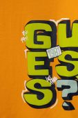 Дитячий бавовняний лонгслів Guess колір помаранчевий з принтом (3365847)