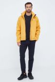 Дощовик adidas TERREX Multi RAIN.RDY чоловіча колір жовтий