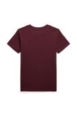 Дитяча бавовняна футболка Polo Ralph Lauren колір бордовий з принтом (3475082)
