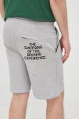 Бавовняні шорти Lamborghini чоловічі колір сірий