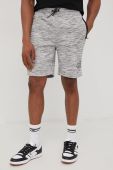 Шорти Brave Soul чоловічі колір сірий