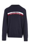 Дитячий бавовняний светр Tommy Hilfiger колір синій легкий (3003376)