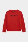Дитяча кофта 4F колір червоний з принтом (3105506)