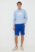 Кофта Alpha Industries чоловіча  з принтом колір блакитний