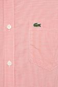 Бавовняна сорочка Lacoste чоловіча колір білий regular комір button-down (3018501)