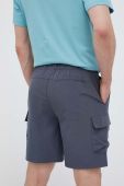 Шорти 4F чоловічі колір сірий